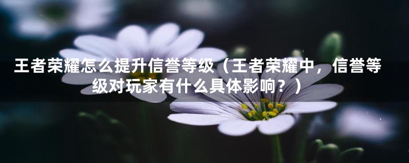 王者荣耀怎么提升信誉等级（王者荣耀中，信誉等级对玩家有什么具体影响？）