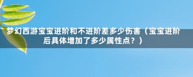 梦幻西游宝宝进阶和不进阶差多少伤害（宝宝进阶后具体增加了多少属性点？）