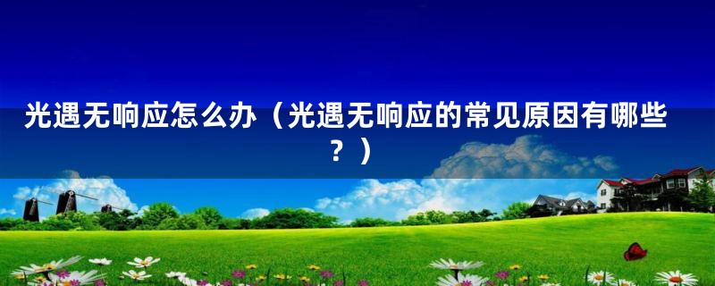 光遇无响应怎么办（光遇无响应的常见原因有哪些？）