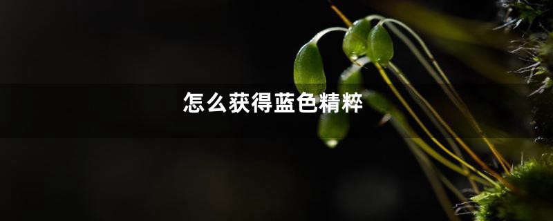 怎么获得蓝色精粹