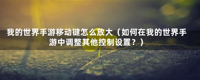 我的世界手游移动键怎么放大（如何在我的世界手游中调整其他控制设置？）