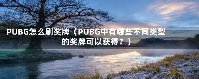 PUBG怎么刷奖牌（PUBG中有哪些不同类型的奖牌可以获得？）