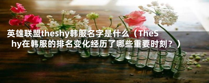 英雄联盟theshy韩服名字是什么（TheShy在韩服的排名变化经历了哪些重要时刻？）