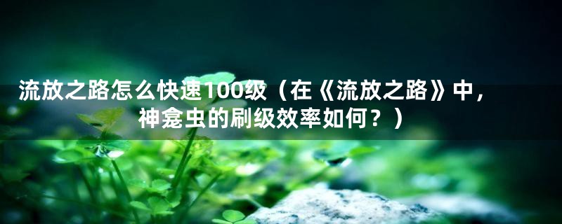 流放之路怎么快速100级（在《流放之路》中，神龛虫的刷级效率如何？）