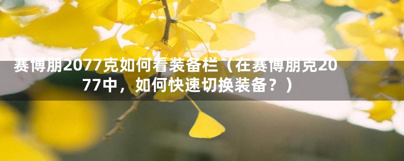 赛博朋2077克如何看装备栏（在赛博朋克2077中，如何快速切换装备？）