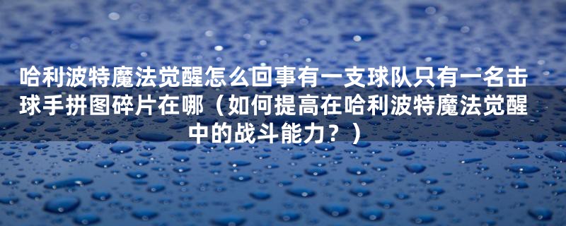 哈利波特魔法觉醒怎么回事有一支球队只有一名击球手拼图碎片在哪（如何提高在哈利波特魔法觉醒中的战斗能力？）