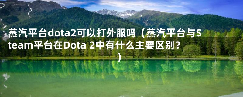 蒸汽平台dota2可以打外服吗（蒸汽平台与Steam平台在Dota 2中有什么主要区别？）