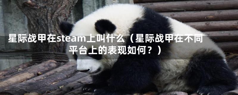 星际战甲在steam上叫什么（星际战甲在不同平台上的表现如何？）