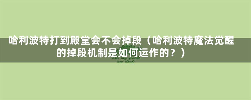 哈利波特打到殿堂会不会掉段（哈利波特魔法觉醒的掉段机制是如何运作的？）