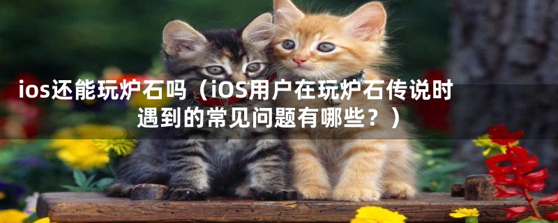 ios还能玩炉石吗（iOS用户在玩炉石传说时遇到的常见问题有哪些？）