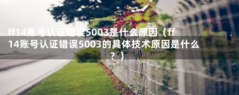 ff14账号认证错误5003是什么原因（ff14账号认证错误5003的具体技术原因是什么？）