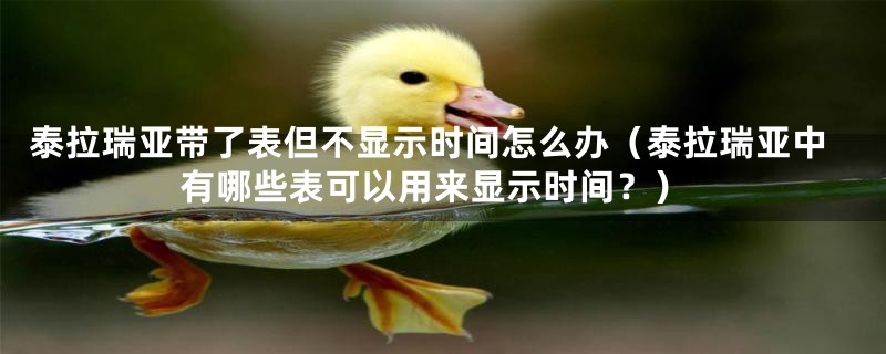 泰拉瑞亚带了表但不显示时间怎么办（泰拉瑞亚中有哪些表可以用来显示时间？）