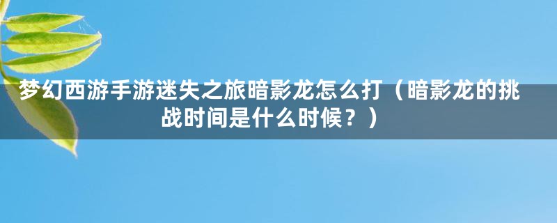 梦幻西游手游迷失之旅暗影龙怎么打（暗影龙的挑战时间是什么时候？）