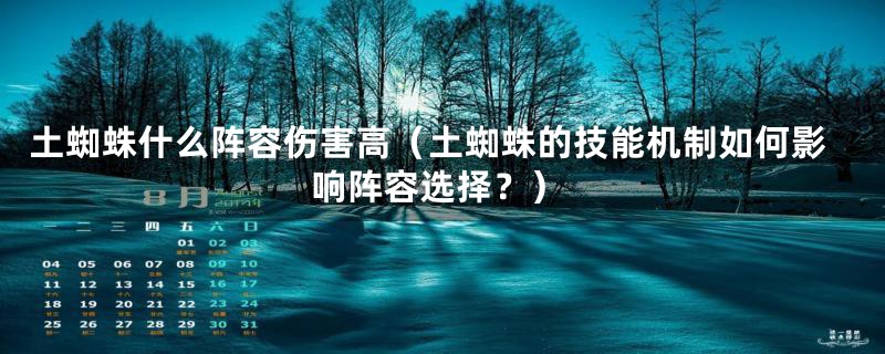 土蜘蛛什么阵容伤害高（土蜘蛛的技能机制如何影响阵容选择？）