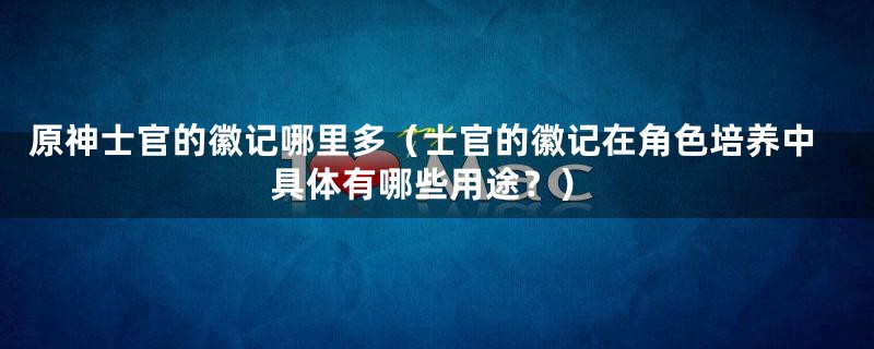 原神士官的徽记哪里多（士官的徽记在角色培养中具体有哪些用途？）