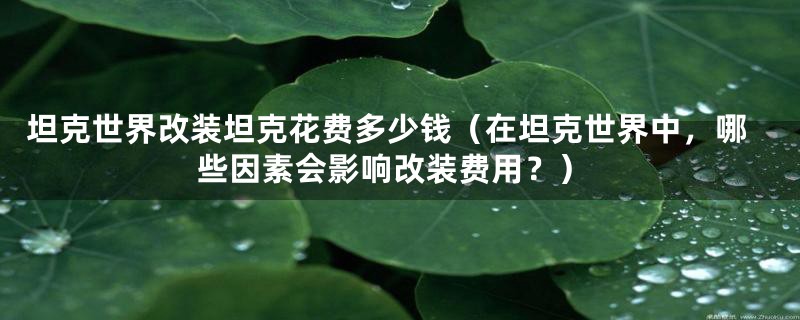 坦克世界改装坦克花费多少钱（在坦克世界中，哪些因素会影响改装费用？）