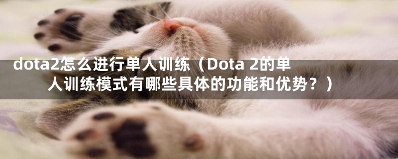 dota2怎么进行单人训练（Dota 2的单人训练模式有哪些具体的功能和优势？）