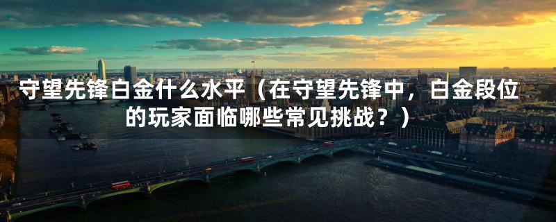 守望先锋白金什么水平（在守望先锋中，白金段位的玩家面临哪些常见挑战？）