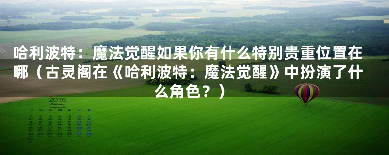 哈利波特：魔法觉醒如果你有什么特别贵重位置在哪（古灵阁在《哈利波特：魔法觉醒》中扮演了什么角色？）