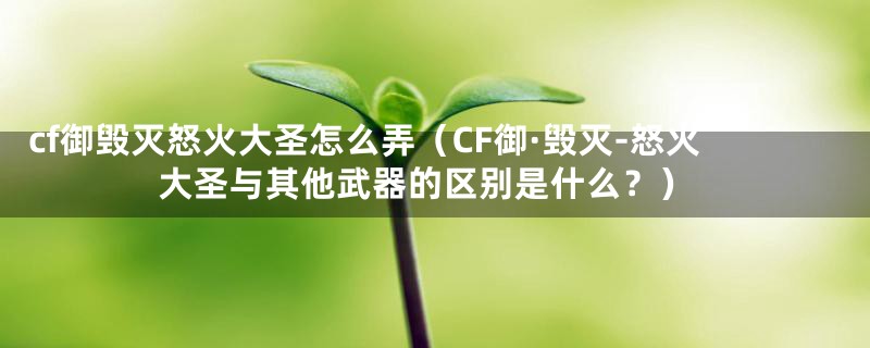 cf御毁灭怒火大圣怎么弄（CF御·毁灭-怒火大圣与其他武器的区别是什么？）