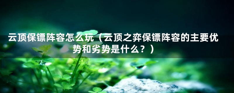 云顶保镖阵容怎么玩（云顶之弈保镖阵容的主要优势和劣势是什么？）