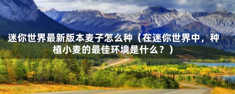 迷你世界最新版本麦子怎么种（在迷你世界中，种植小麦的最佳环境是什么？）