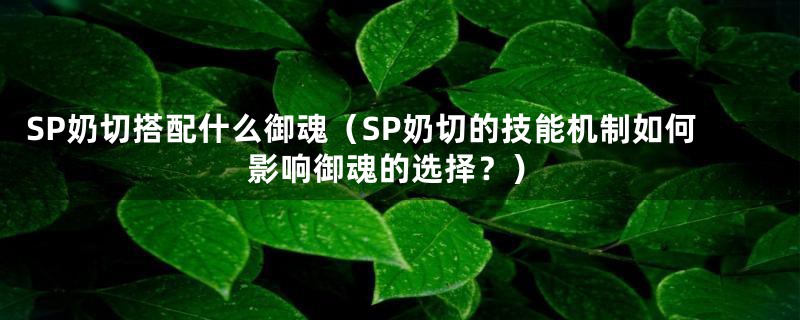 SP奶切搭配什么御魂（SP奶切的技能机制如何影响御魂的选择？）