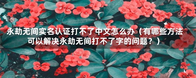 永劫无间实名认证打不了中文怎么办（有哪些方法可以解决永劫无间打不了字的问题？）