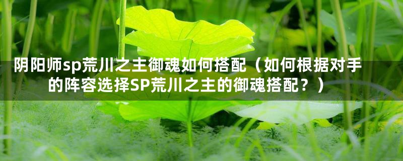 阴阳师sp荒川之主御魂如何搭配（如何根据对手的阵容选择SP荒川之主的御魂搭配？）