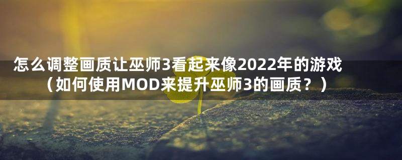 怎么调整画质让巫师3看起来像2022年的游戏（如何使用MOD来提升巫师3的画质？）