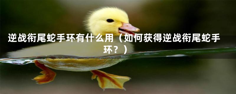 逆战衔尾蛇手环有什么用（如何获得逆战衔尾蛇手环？）