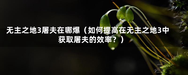 无主之地3屠夫在哪爆（如何提高在无主之地3中获取屠夫的效率？）