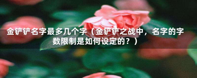 金铲铲名字最多几个字（金铲铲之战中，名字的字数限制是如何设定的？）