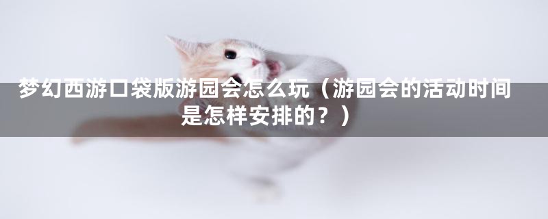 梦幻西游口袋版游园会怎么玩（游园会的活动时间是怎样安排的？）