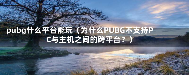 pubg什么平台能玩（为什么PUBG不支持PC与主机之间的跨平台？）