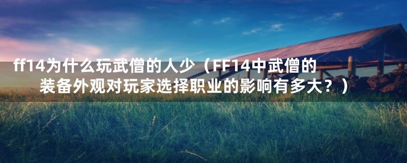 ff14为什么玩武僧的人少（FF14中武僧的装备外观对玩家选择职业的影响有多大？）