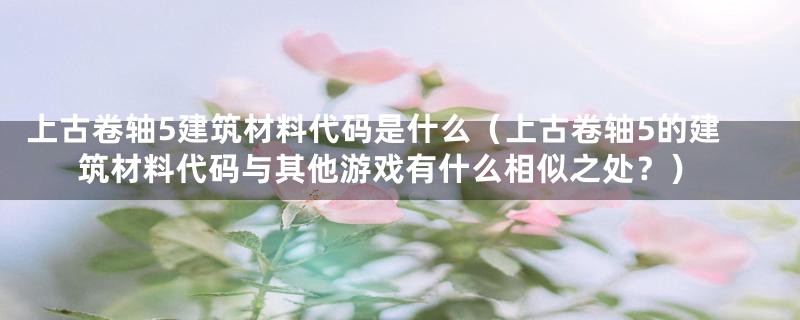 上古卷轴5建筑材料代码是什么（上古卷轴5的建筑材料代码与其他游戏有什么相似之处？）