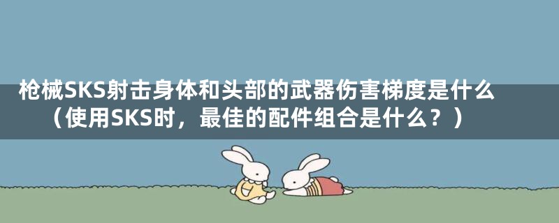 枪械SKS射击身体和头部的武器伤害梯度是什么（使用SKS时，最佳的配件组合是什么？）