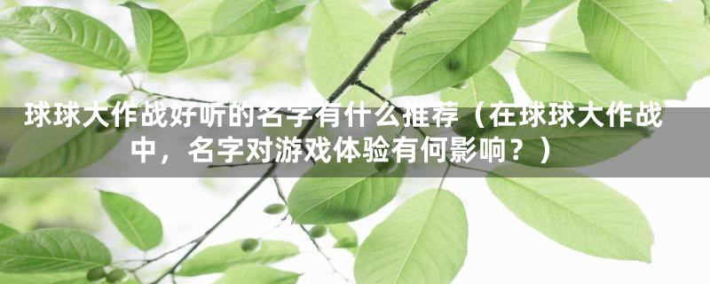 球球大作战好听的名字有什么推荐（在球球大作战中，名字对游戏体验有何影响？）