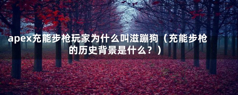 apex充能步枪玩家为什么叫滋蹦狗（充能步枪的历史背景是什么？）