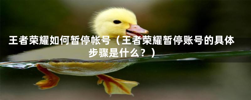 王者荣耀如何暂停帐号（王者荣耀暂停账号的具体步骤是什么？）