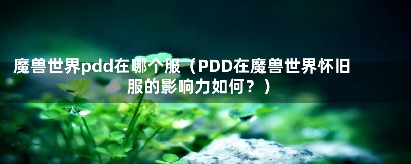 魔兽世界pdd在哪个服（PDD在魔兽世界怀旧服的影响力如何？）