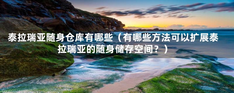 泰拉瑞亚随身仓库有哪些（有哪些方法可以扩展泰拉瑞亚的随身储存空间？）