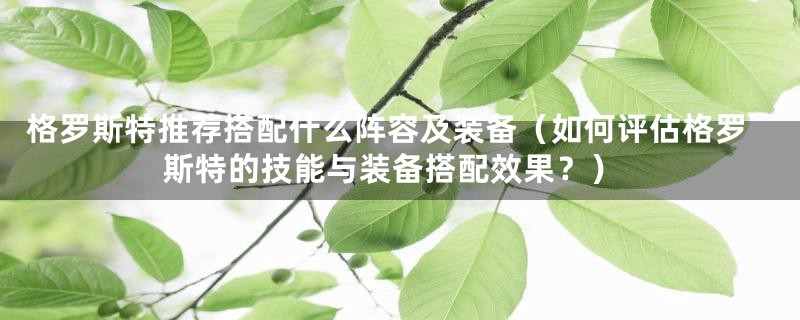 格罗斯特推荐搭配什么阵容及装备（如何评估格罗斯特的技能与装备搭配效果？）