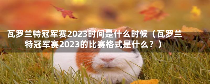 瓦罗兰特冠军赛2023时间是什么时候（瓦罗兰特冠军赛2023的比赛格式是什么？）