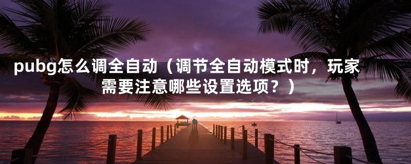 pubg怎么调全自动（调节全自动模式时，玩家需要注意哪些设置选项？）