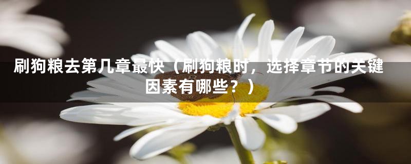 刷狗粮去第几章最快（刷狗粮时，选择章节的关键因素有哪些？）