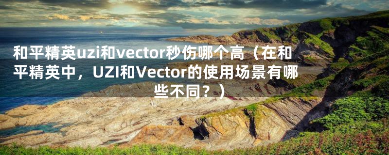 和平精英uzi和vector秒伤哪个高（在和平精英中，UZI和Vector的使用场景有哪些不同？）