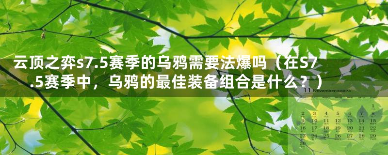 云顶之弈s7.5赛季的乌鸦需要法爆吗（在S7.5赛季中，乌鸦的最佳装备组合是什么？）