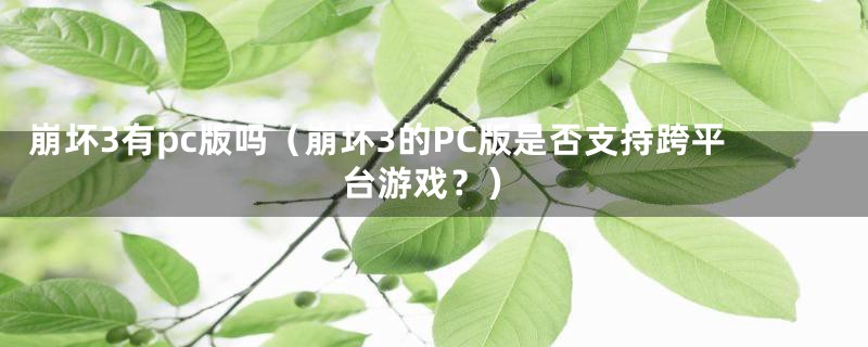 崩坏3有pc版吗（崩坏3的PC版是否支持跨平台游戏？）